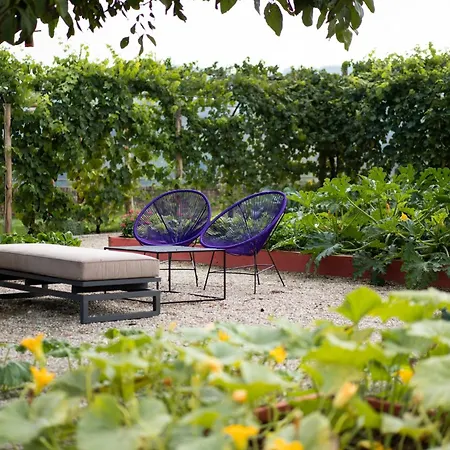 Vigne Di Fagnano 1709 Eco Relais Santo Stefano Belbo