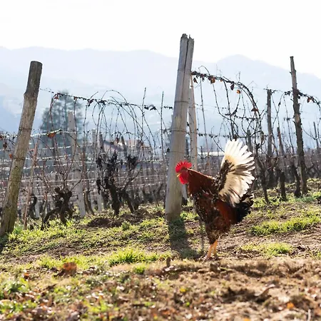 Venkovský dům Vigne Di Fagnano 1709 Eco Relais