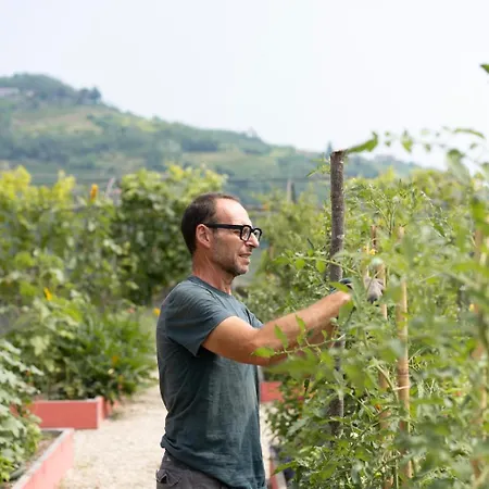 Vigne Di Fagnano 1709 Eco Relais *