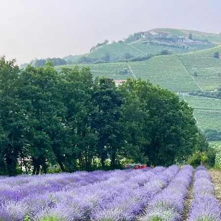 Vigne Di Fagnano 1709 Eco Relais