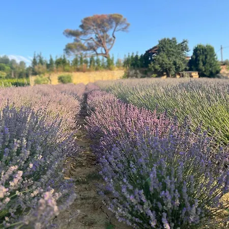 Vigne Di Fagnano 1709 Eco Relais *