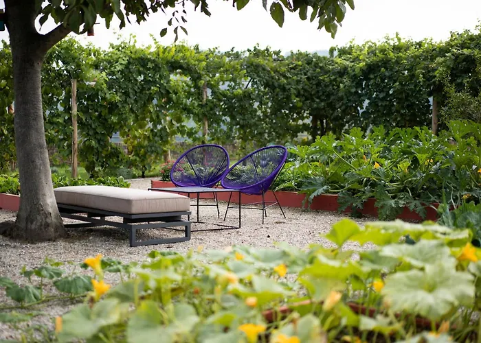 Vigne Di Fagnano 1709 Eco Relais Santo Stefano Belbo