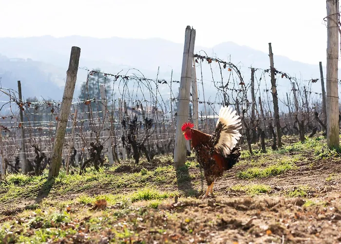 Country house Vigne Di Fagnano 1709 Eco Relais