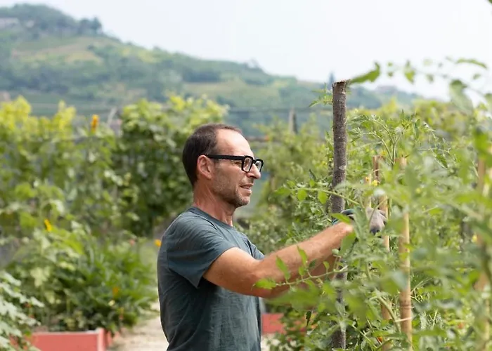 Vigne Di Fagnano 1709 Eco Relais *