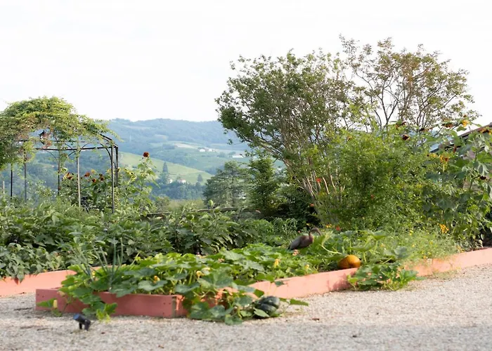 Vigne Di Fagnano 1709 Eco Relais Santo Stefano Belbo